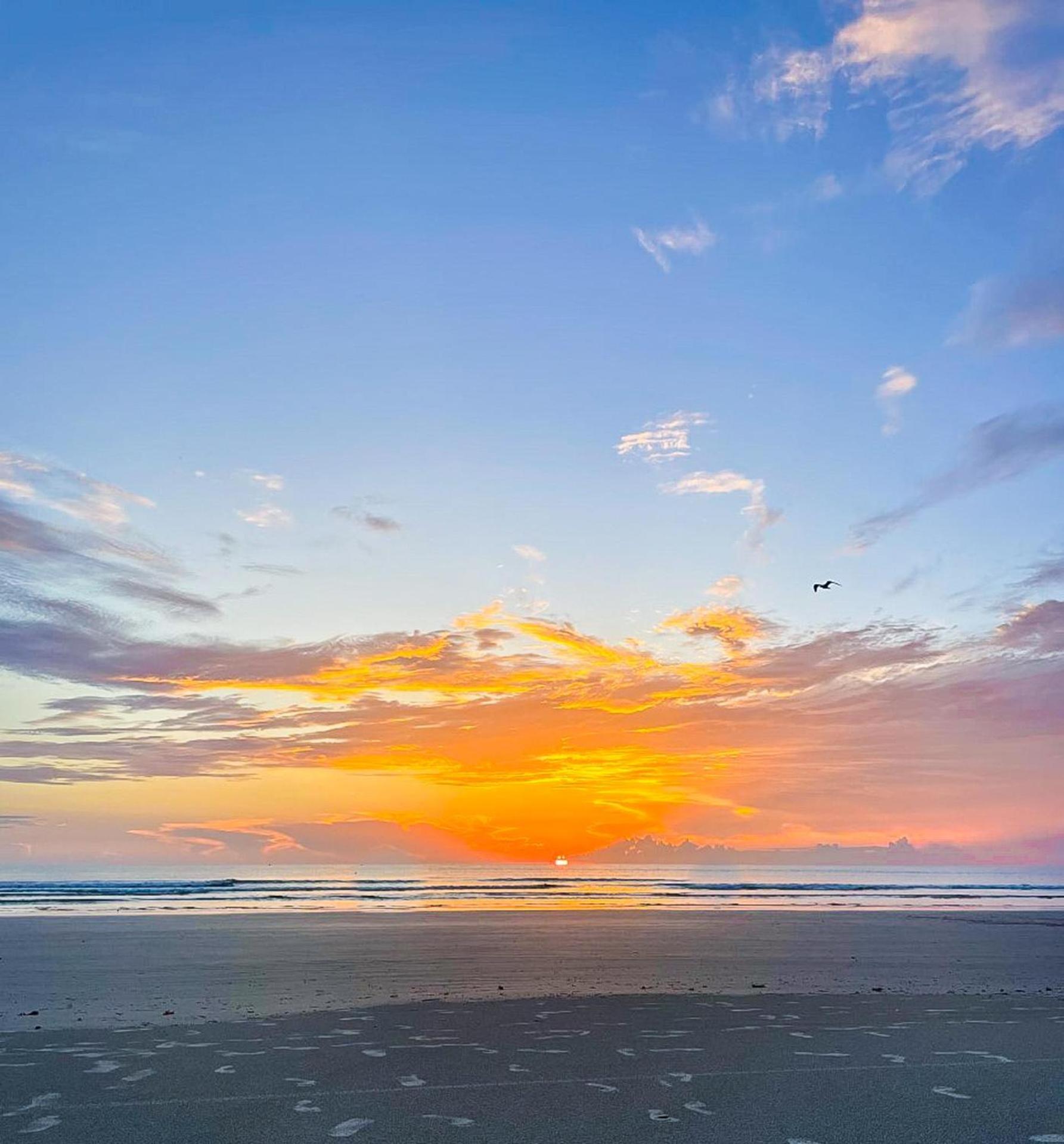 Daytona Ocean Walk Resort 1707 Daytona Beach Exteriör bild